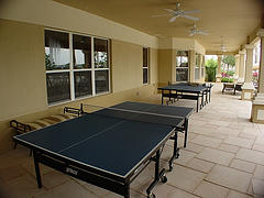 Ping Pong