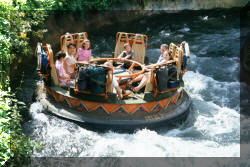 Disney Area Vacation Rentals